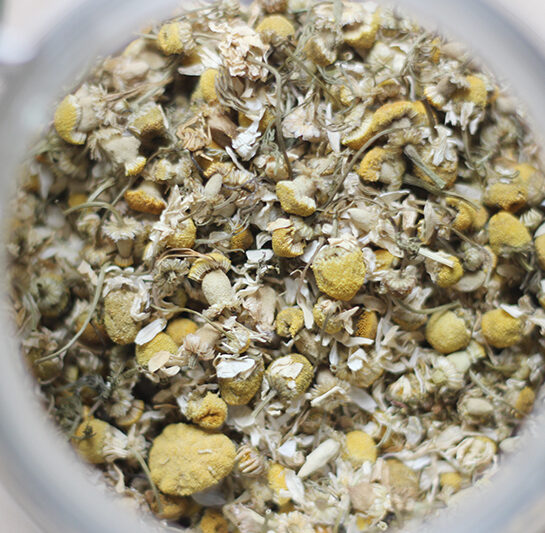 Chamomile