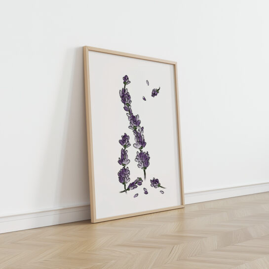 Kruidenprint – lavendel