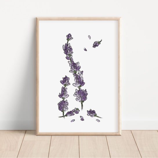 Kruidenprint – lavendel