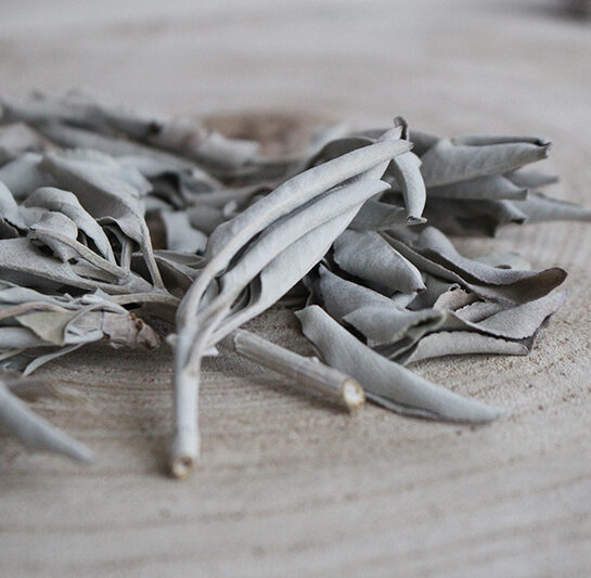 Californian White Sage (Salvia Apiana) Premium Quality