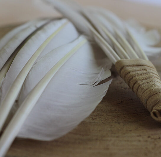 Swan Feather Bundle